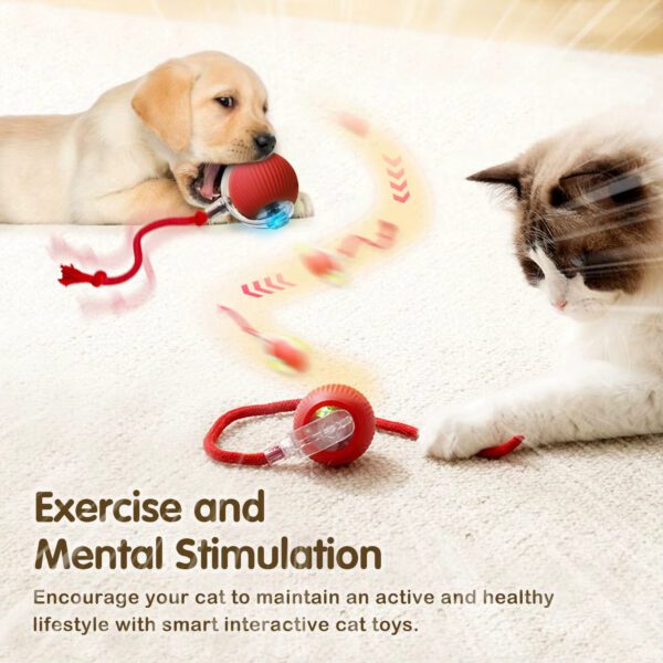 juguete para gato inalámbrico recargable